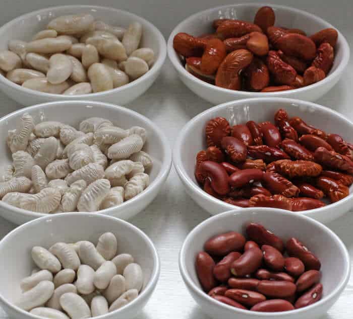 Dark Red Kidney Beans new  crop Long Shape