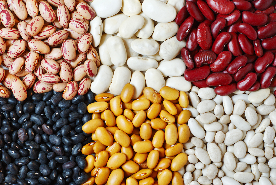 Kidney Beans Product Type and White Color Beans