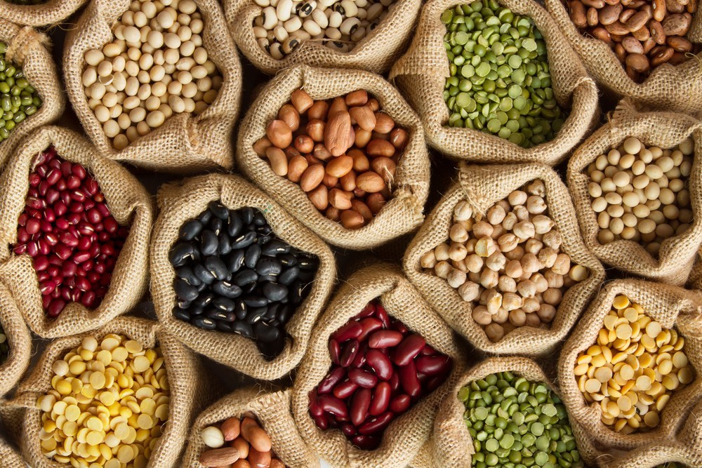 Light Speckled Kidney Beans (LSKB) Pinto Beans/Sugar Beans/White Kidney Beans