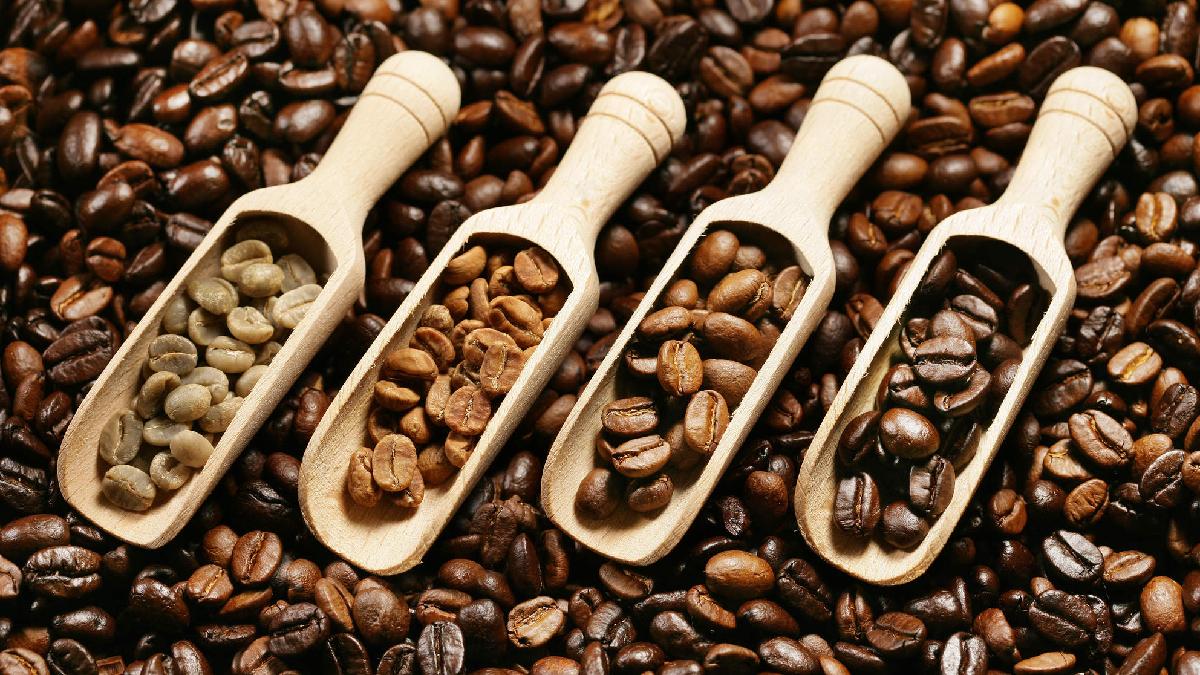 High Quality Brazilian Arabica and Robusta Coffee Beans/raw green coffee/roasted brown