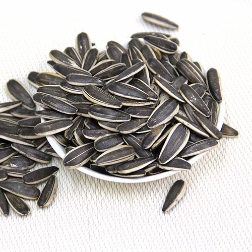 Black Sunflower Seeds, Ukrainian Origin(big & medium size),Thailand ...