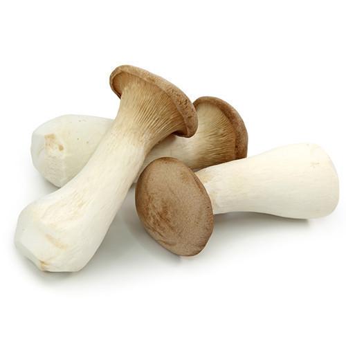 Fresh King Oyster Mushroom/Mushroom/Edible Fungus,Thailand price ...