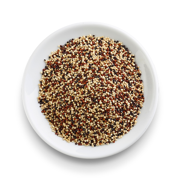 Quinoa,Thailand price supplier - 21food