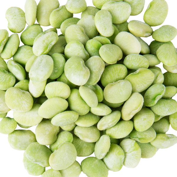 Large white lima Beans for export and Organic White Lima Beans