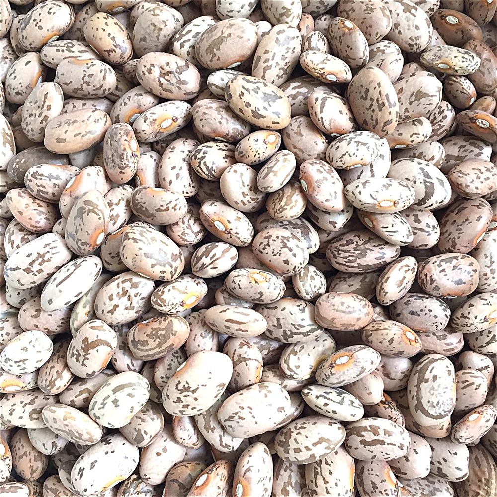 New crop best quality beans dry pinto beans light speckled kidney bean LSKB Sugar,Thailand price