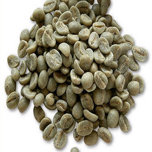 robusta coffee beans grade 1 screen 16 wet polished coffee beans ...