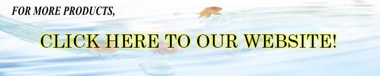 Frozen Pacific Saury / Mackerel Pike Whole Round hot sale best prices
