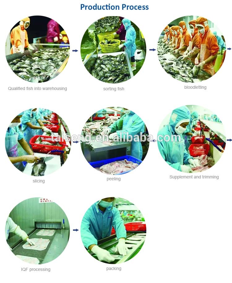 quality sea fish best seafood with fresh frozen mackerel fish/ pacific mackerel