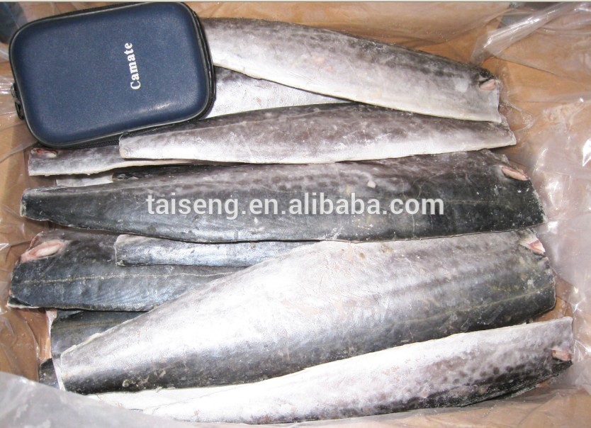 Frozen Spanish Mackerel Fillets / Frozen Sea Food