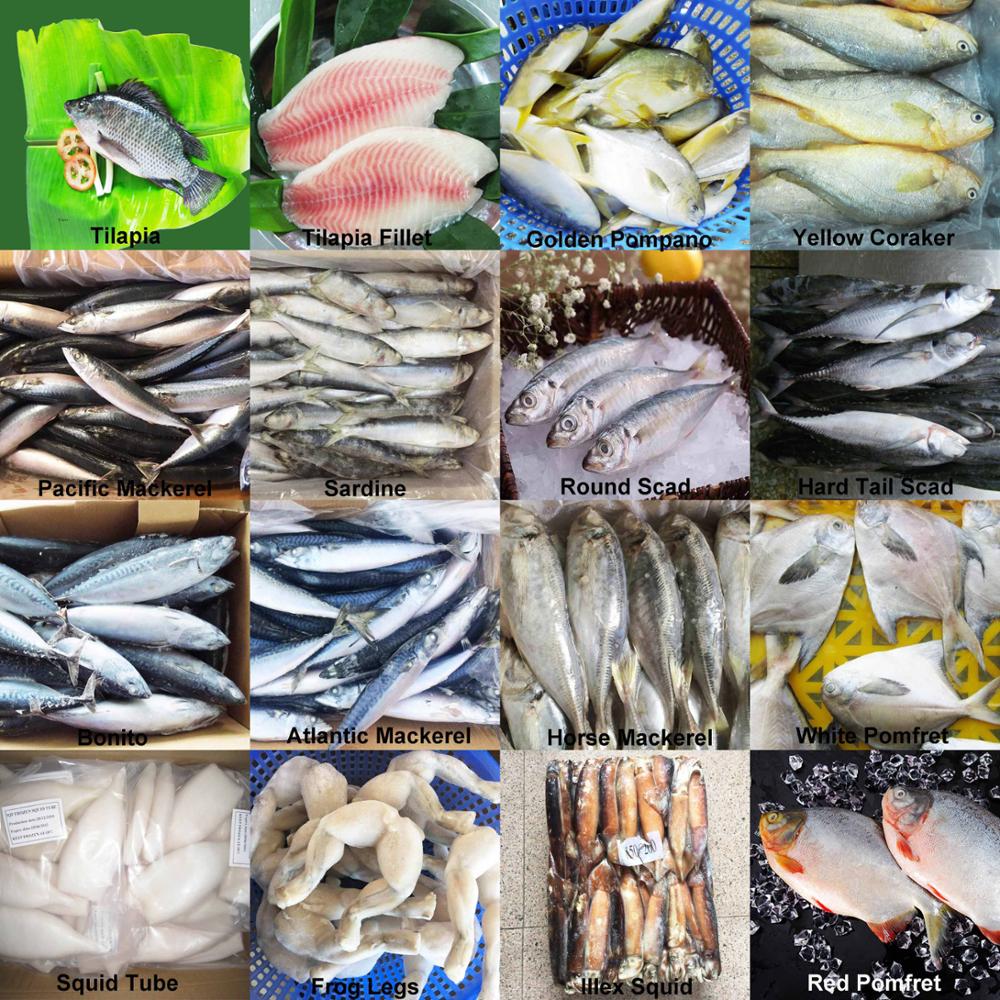 Types of Boneless Tilapia Fish Fillet