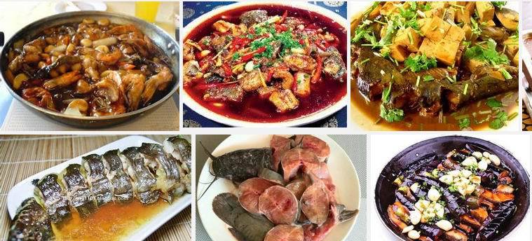 best season and frozen catfish, frozen catfish for buyer