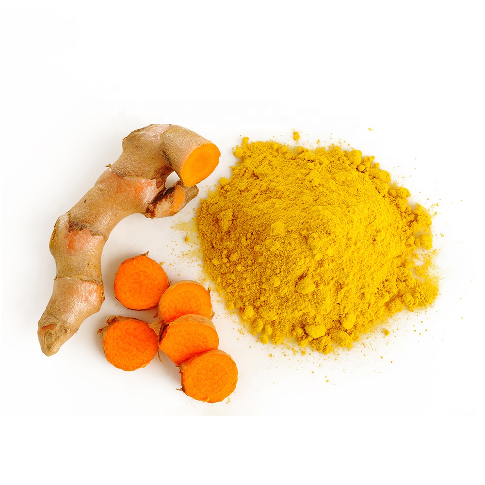 Wholesale Plant Herbal Supplement Bulk Turmeric Extract Curcumin Powder 95%