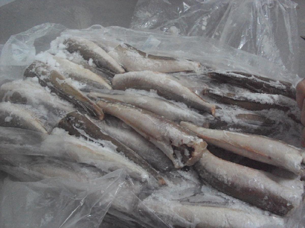 Merluza HGT Frozen Hake Fish 500-700,Netherlands price supplier - 21food