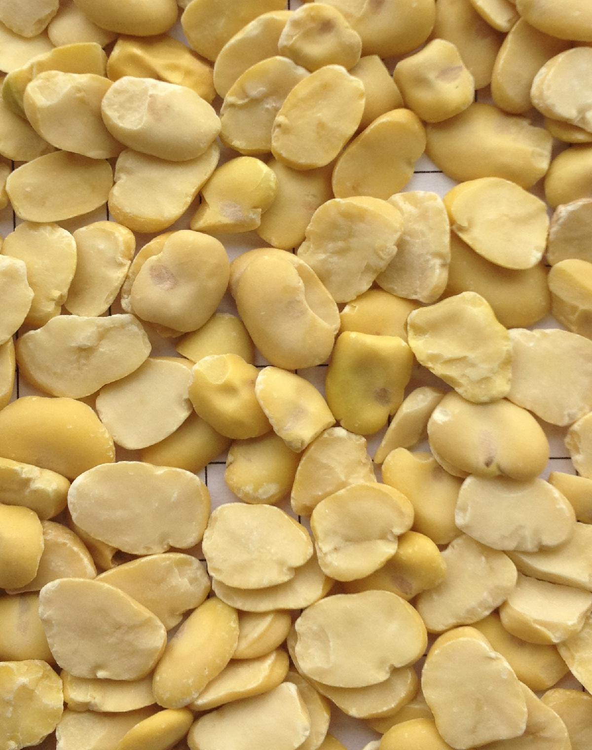 Dry Fava Beans For Sale,Netherlands price supplier - 21food