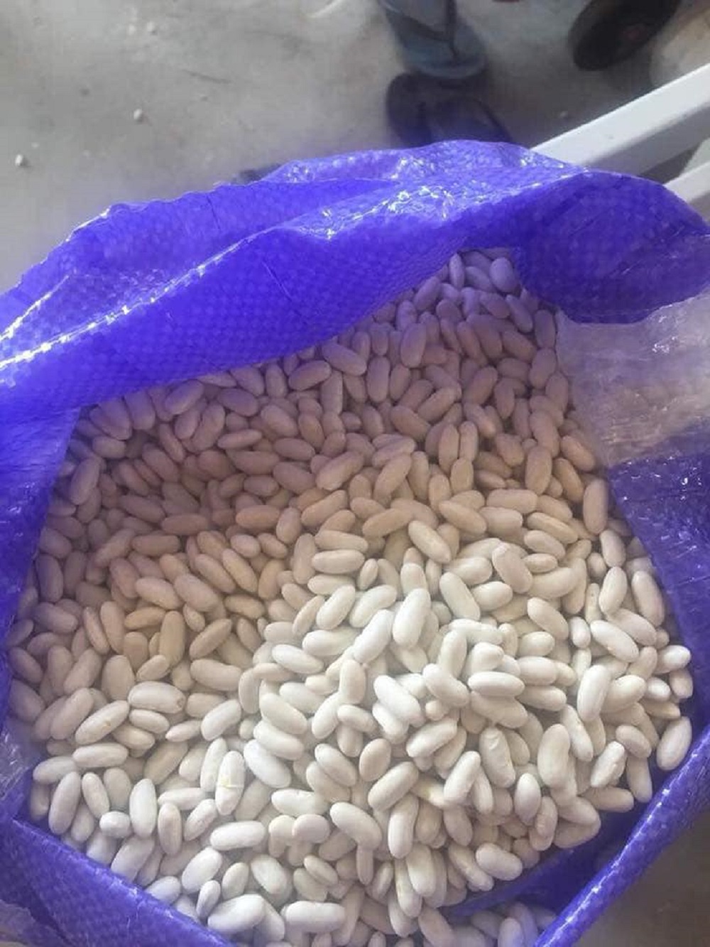 Best Price of White Kidney Beans