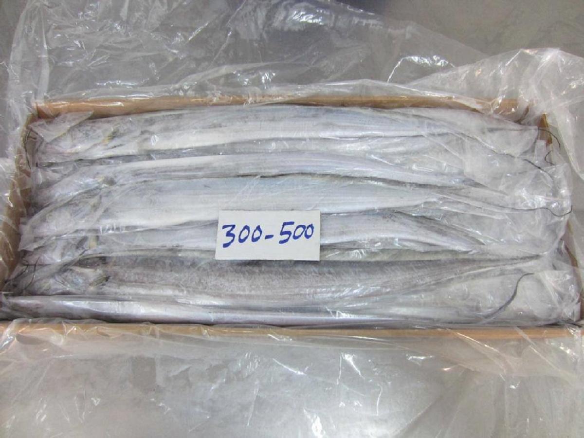 Frozen Ribbon Fish For price supplier 21food