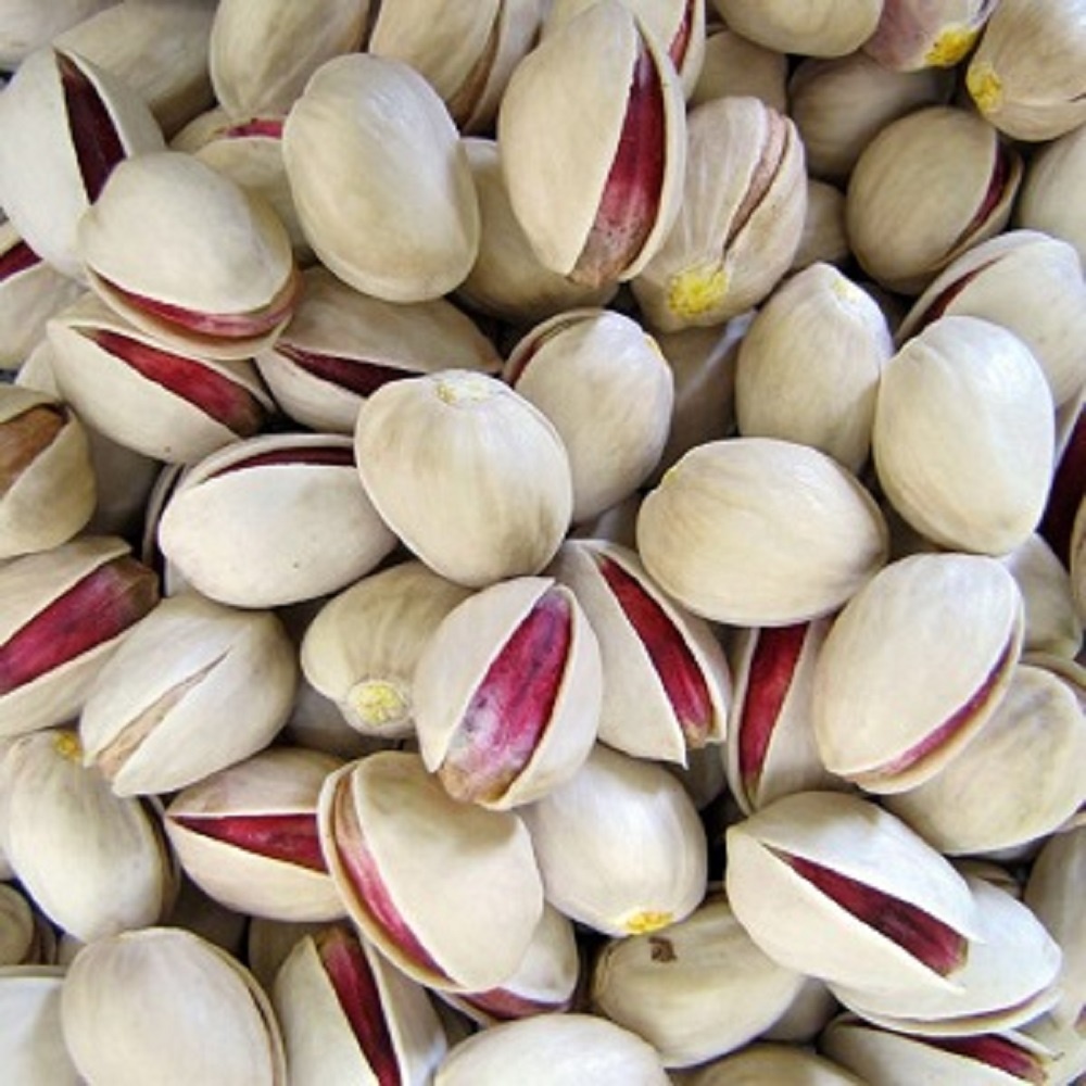 Bulk Pistachios Nuts For Sale Netherlands Price Supplier 21food   Food3052481606119758321227 