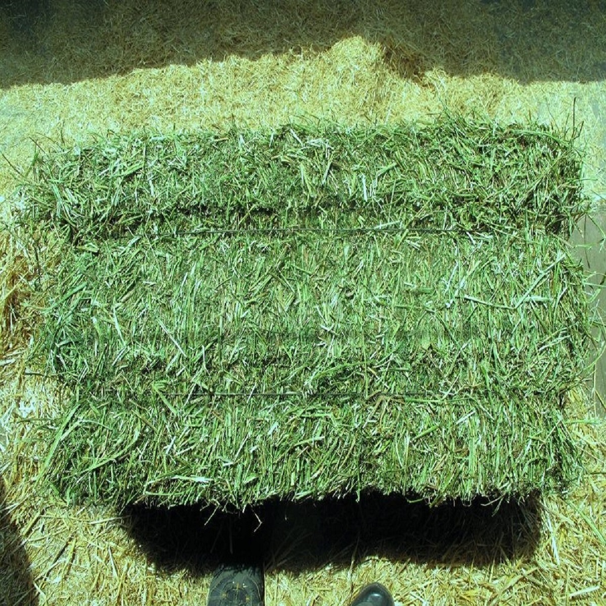 Alfalfa Hay Bales For Sale Products Netherlands Alfalfa Hay Bales For Sale Supplier