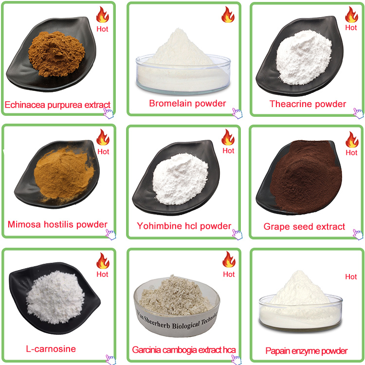 barley grass extract powder, barley grass juice powder, barley grass powder