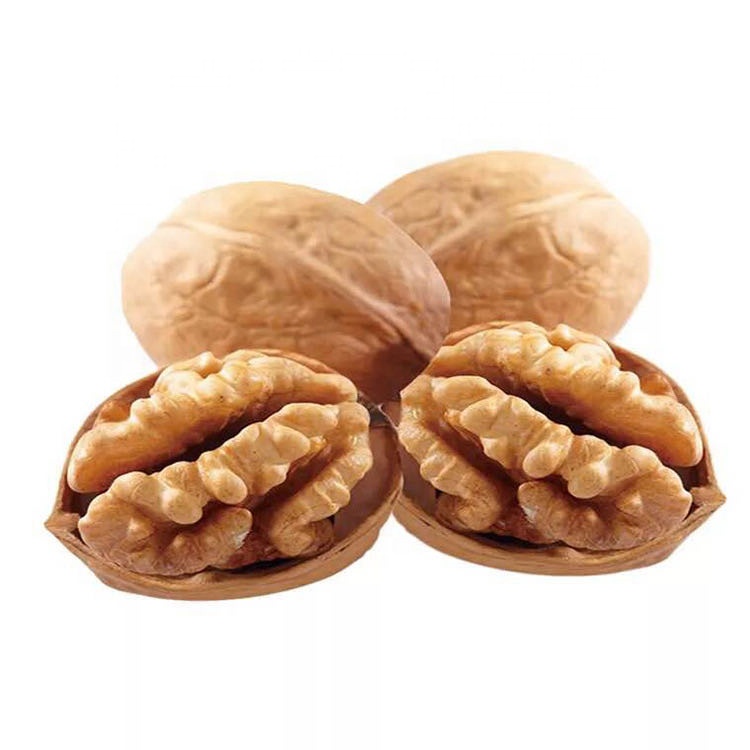 xinjiang china 185 walnut shell and red date walnuts from usa