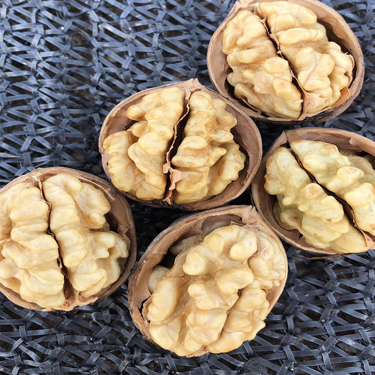 xinjiang china 185 walnut shell and red date walnuts from usa