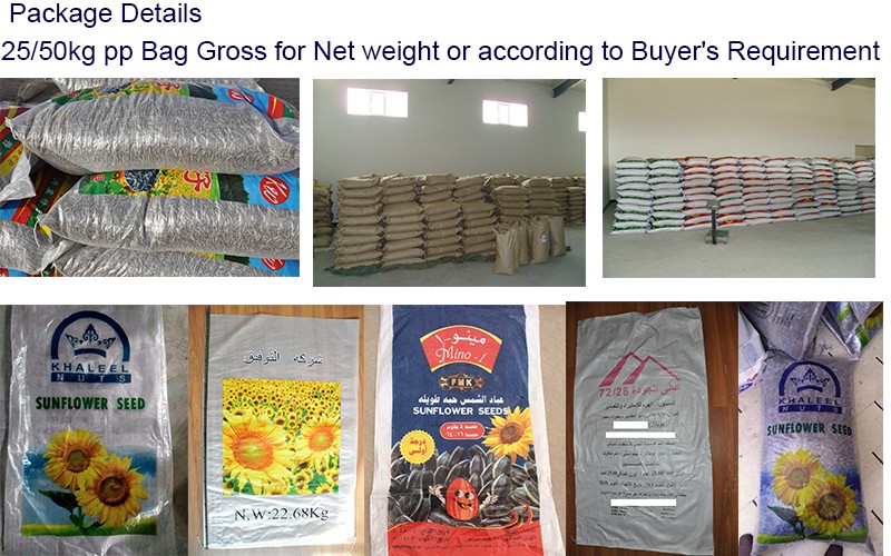 Bulk price different roasted green tea taste salted sunflower seed