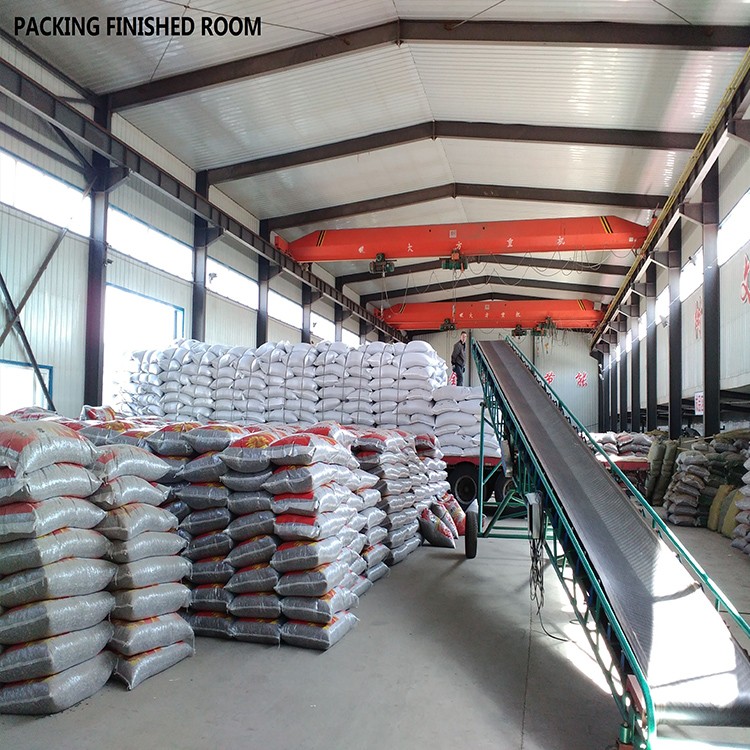 China high quality factory Directly roasted white sunflower seeds