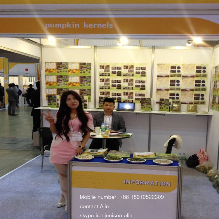 China high quality factory Directly roasted white sunflower seeds