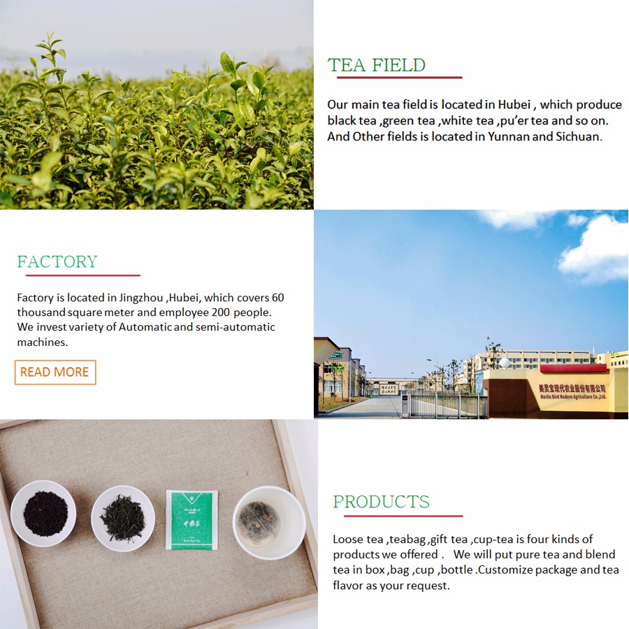 High Quality Selected Eu Standard Tie Guan Yin Organic Oolong Tea Factory supply