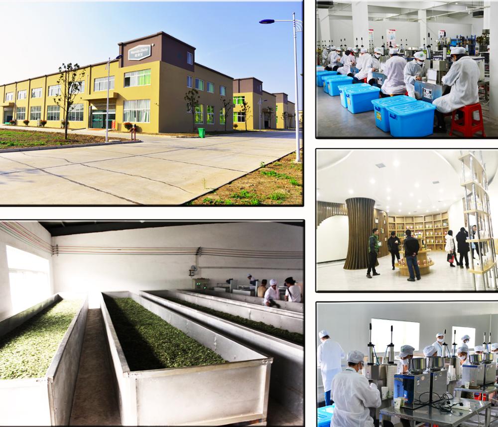 High Quality Selected Eu Standard Tie Guan Yin Organic Oolong Tea Factory supply