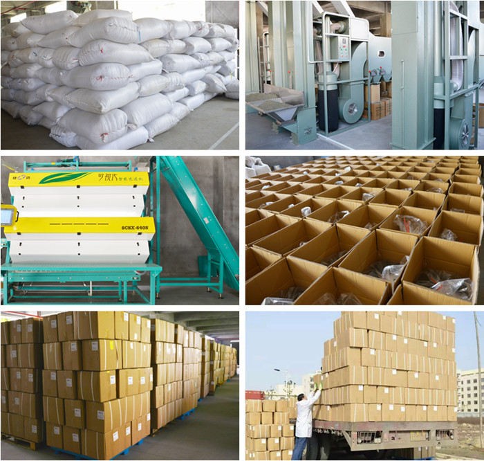 High Quality Selected Eu Standard Tie Guan Yin Organic Oolong Tea Factory supply