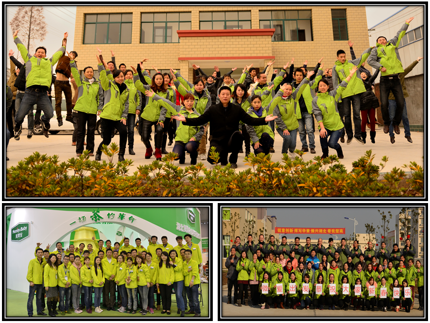 High Quality Selected Eu Standard Tie Guan Yin Organic Oolong Tea Factory supply