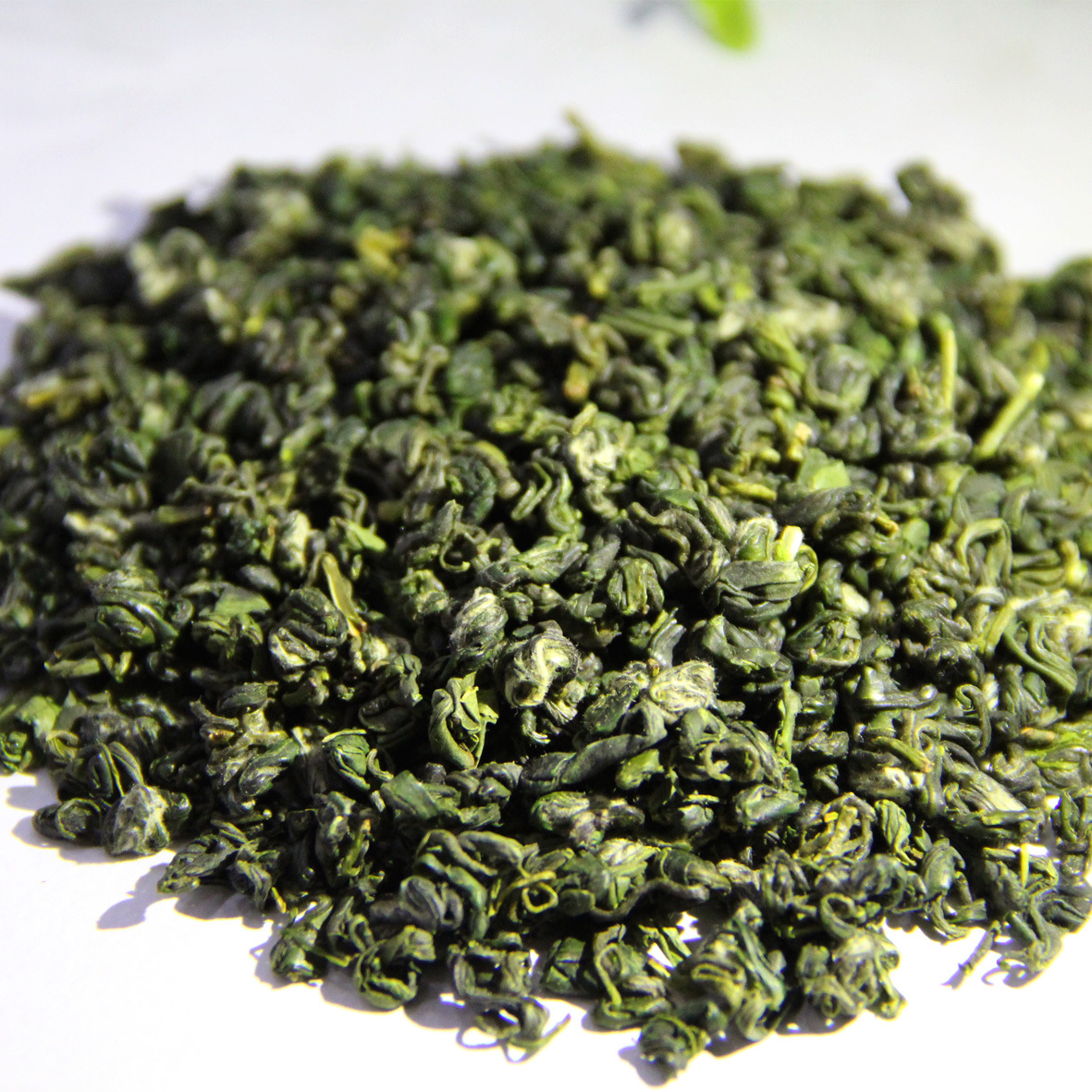 China Organic Green Tea Gunpowder Loose Tea 3505AAA Direct Selling From Factory