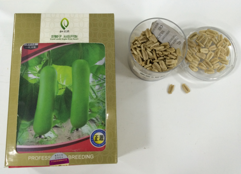 Bright green short type hybrid calabash seeds