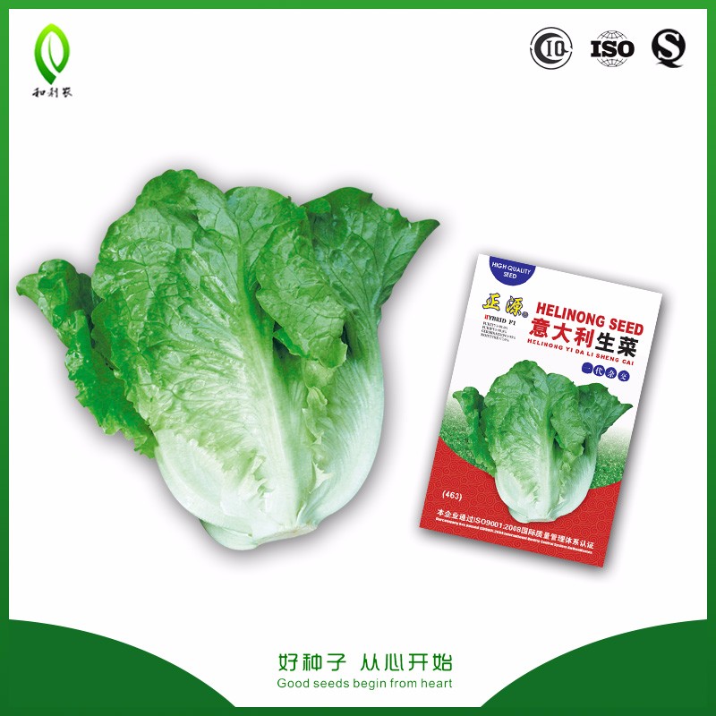 Bright green short type hybrid calabash seeds