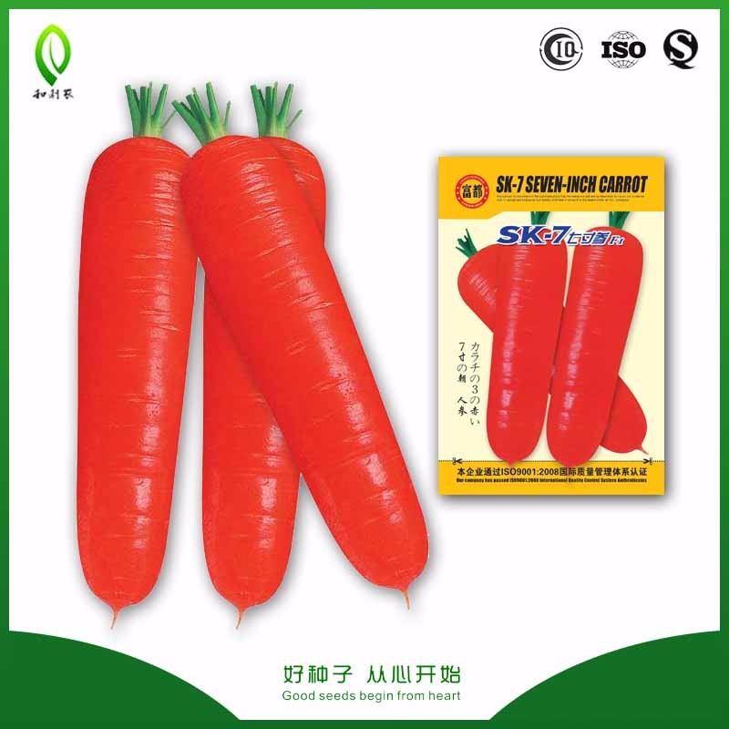 Good disease resistance Chinese Kales seeds with nice price products
