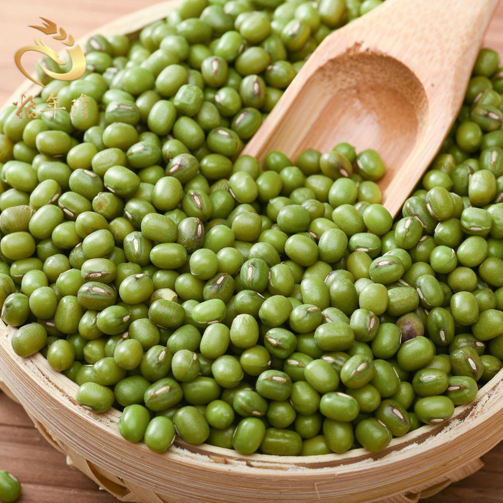 2019 green mung bean size 3.6mm Chinese Organic natural Green Mung