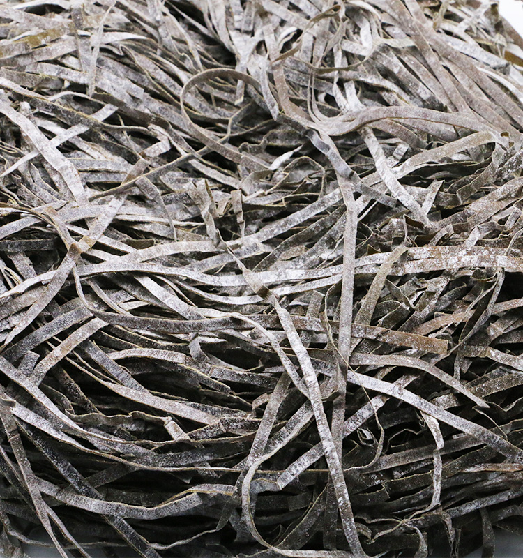 shredded noti shredded noti
