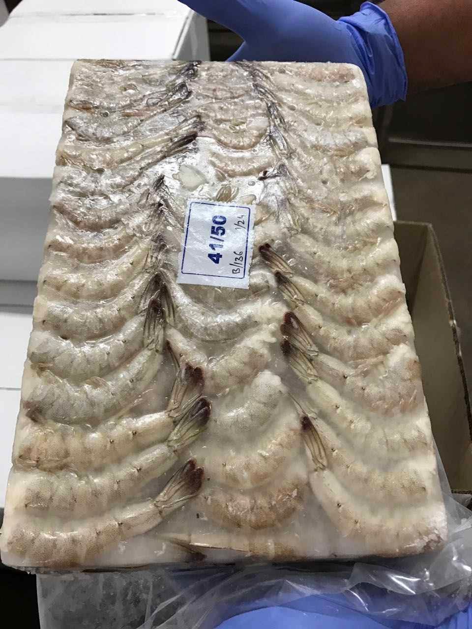 Fresh Seafood Block Quick Frozen Raw Vannamei White Shrimp