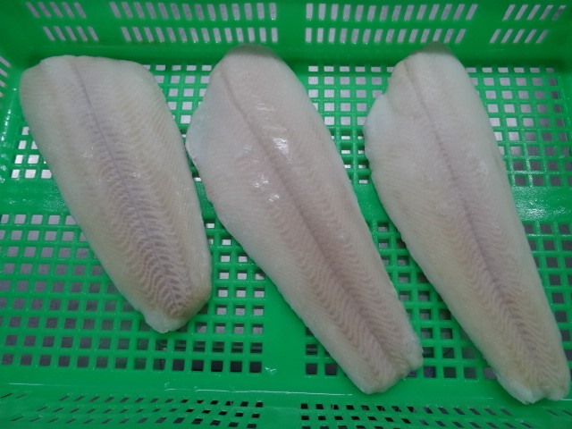 New Processing Good Sale Frozen Halibut Fillet