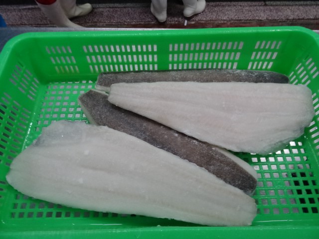 New Processing Good Sale Frozen Halibut Fillet