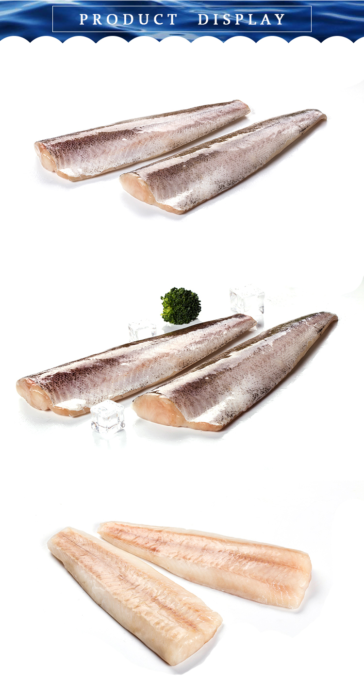 Hake Fillet Canadian Hake Pacific Hake Marine Sea Fish