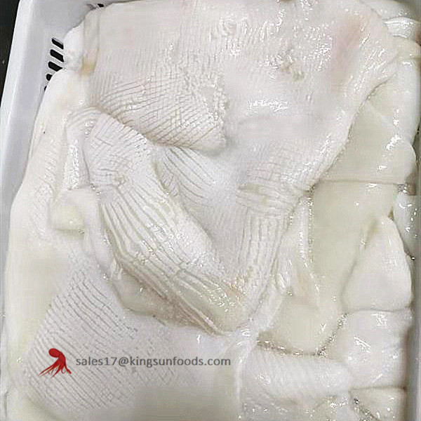 Frozen Todarodes / Illex / Indian Squid Pineapple Cut Fillet