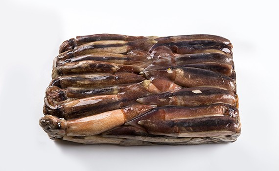 High Quality Good Price Frozen Japan Yellowtail