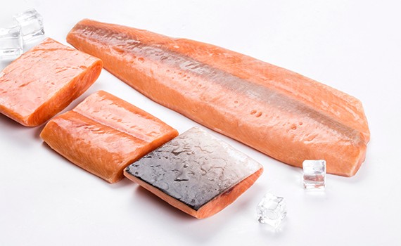 High Quality Good Price Frozen Japan Yellowtail