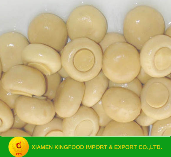 Canned Whole Button Mushroom in Brine
