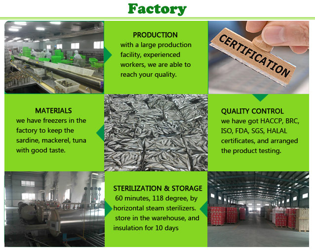 Chinese All types of Canned Fish Factory Halal Canned Sardine Mackerel fish