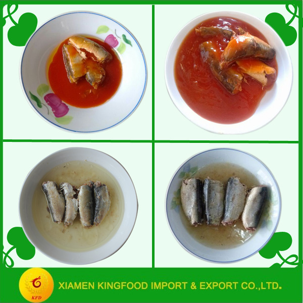 Export canned sardine mackerel fish export types of canned fish
