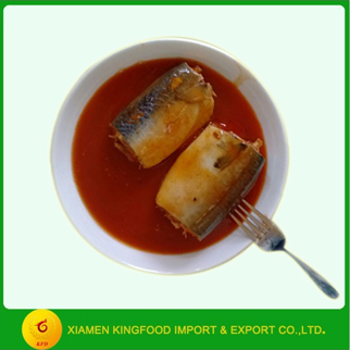 Export canned sardine mackerel fish export types of canned fish