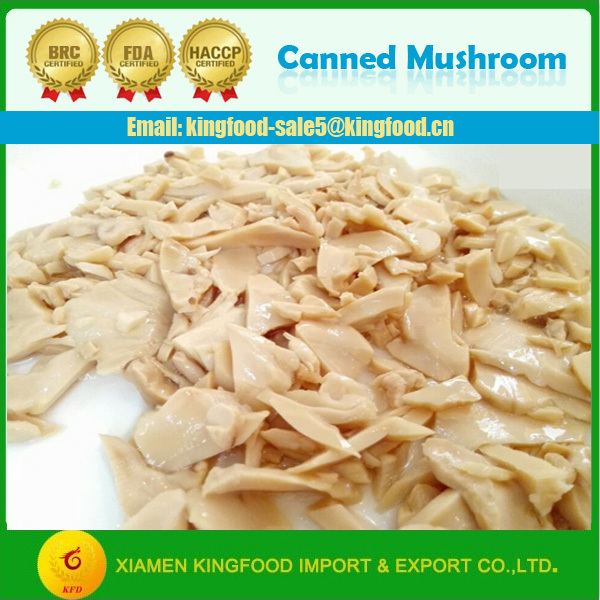 Exporting New Season Canned Button Mushroom Whole